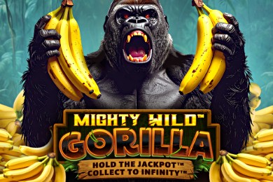 Mightywildgorilla играть в Парипеса Казино